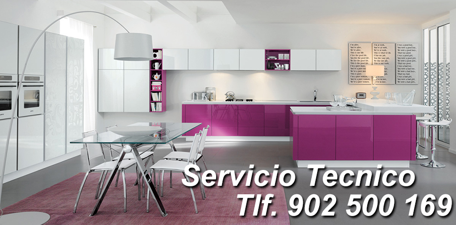  Pinto Servicio Técnico